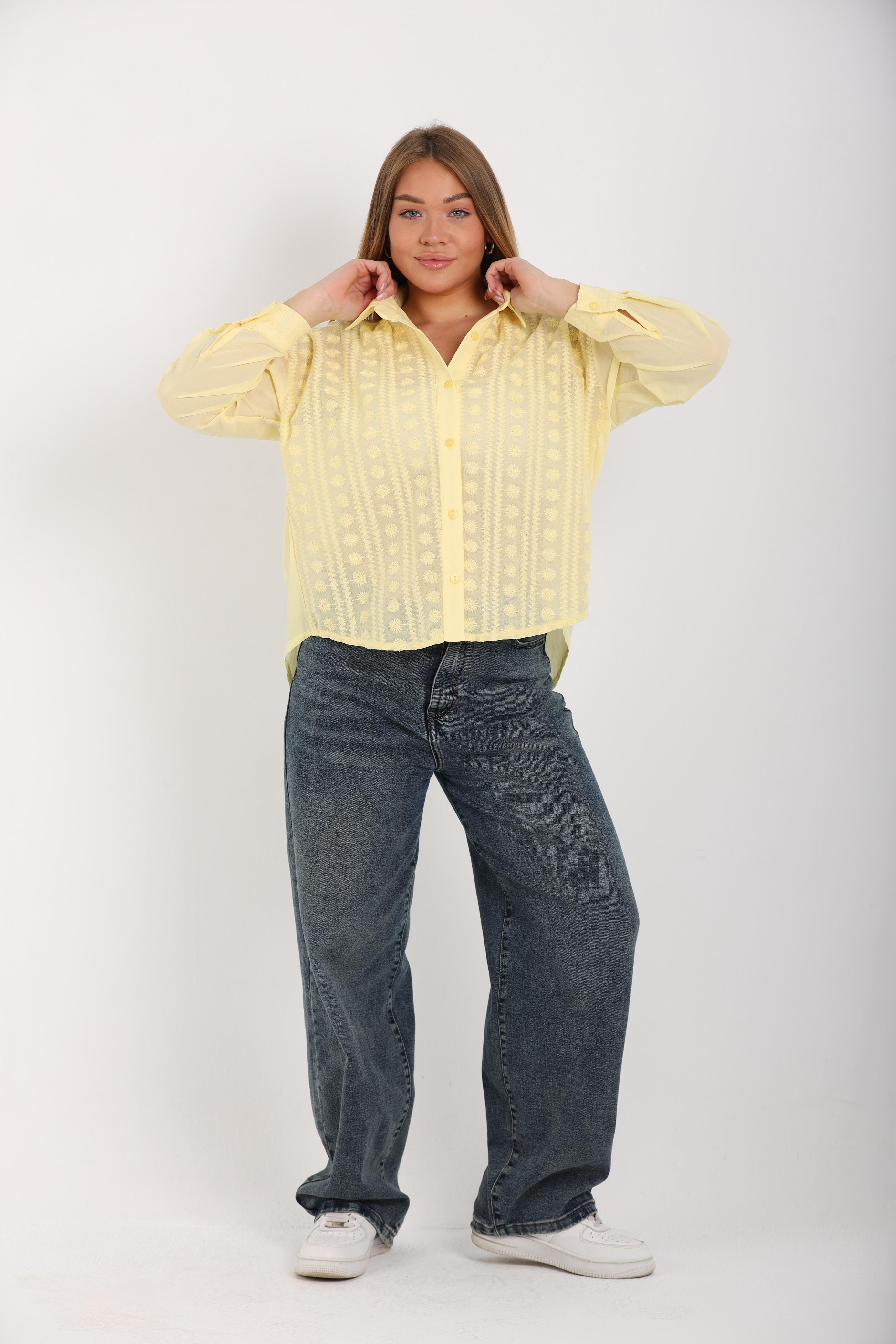 EMBROIDERED SHEER SHIRT